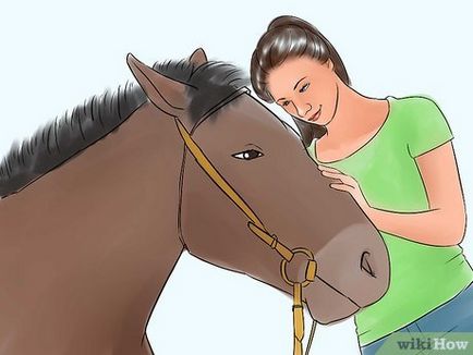 Cum să aducă un cal în formă