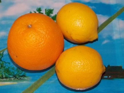 Hogyan, hogy a héja a citrusfélék