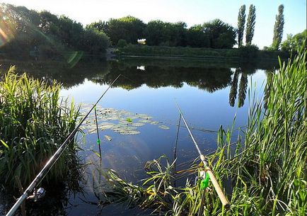 A halak a legjobb a nyári fogni, ami fontos, hogy fontolja meg az árnyalatok hasznos cikkek horgászat - mindezt