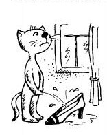 Castrarea sterilizare, sănătatea pisicilor - catelus de pisici britanici brianor