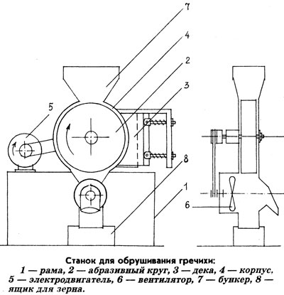 Комора корисних речовин - чорна каша, як виростити на своїй ділянці