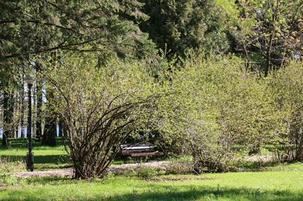 Комплекс - Клязьма від камерної весілля до масштабного свята