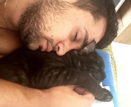 Kitten Armani cu trei picioare a găsit dragostea unui student veterinar - o pisică a zilei - bloguri