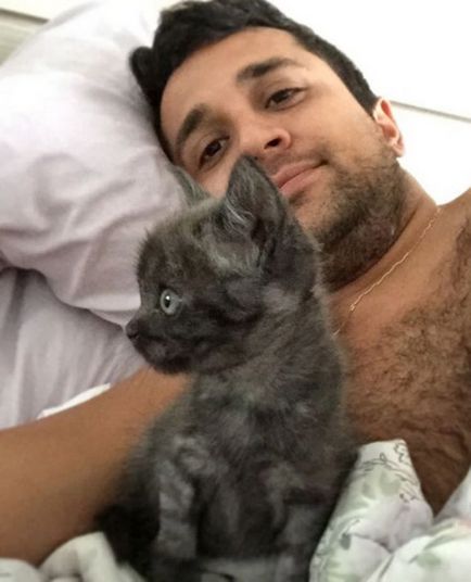 Kitten Armani cu trei picioare a găsit dragostea unui student veterinar - o pisică a zilei - bloguri