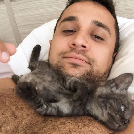 Kitten Armani cu trei picioare a găsit dragostea unui student veterinar - o pisică a zilei - bloguri