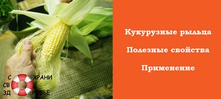 Kukorica selyem gyógyító tulajdonságokkal és ellenjavallatok vélemények