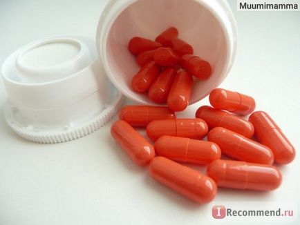 Lactobacillus masterpharmacipol - capsule - acipol