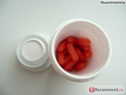 Lactobacillus masterpharmacipol - capsule - acipol