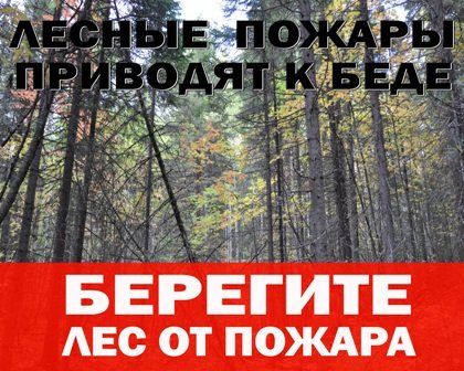 Forest jelek, tűzvédelmi értesítéseket az erdőben, az erdei közlemények