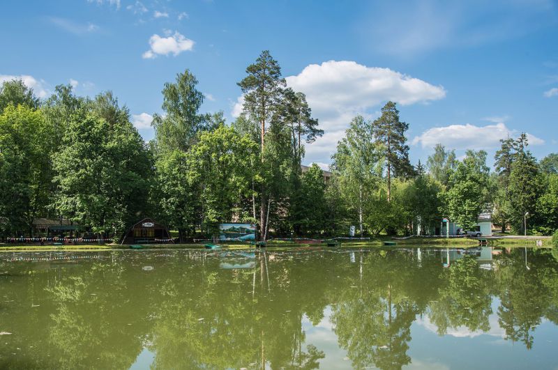 Лідер успішний старт