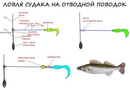 Ловля на відвідної поводок для початківців - статті про спінінгу