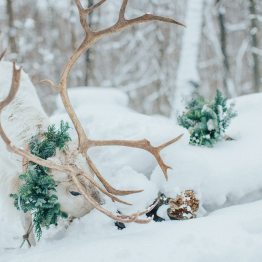 Магія зими стилізована фотосесія