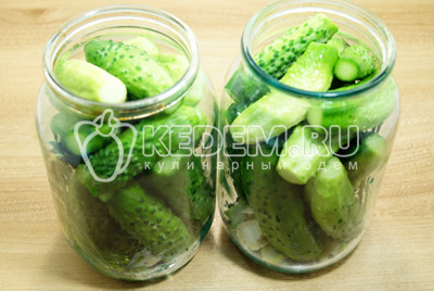 Pickles és a torma, lépésről lépésre recept fotókkal - üres