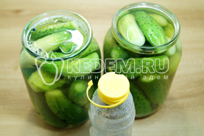 Pickles és a torma, lépésről lépésre recept fotókkal - üres