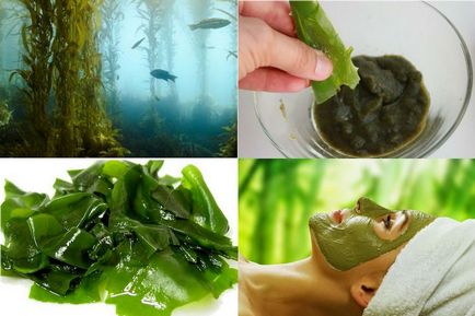 Masti din alge si creme spirulina pentru revizuiri personale si retete