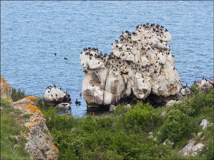 Capul Kazantipului