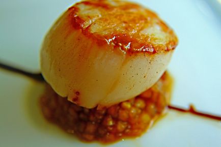 Scallop - visul gourmetului