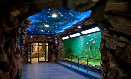 Moszkva oceanarium ár, cím, fénykép, vélemény