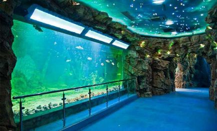 Moszkva oceanarium ár, cím, fénykép, vélemény