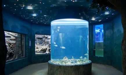 Moszkva oceanarium ár, cím, fénykép, vélemény