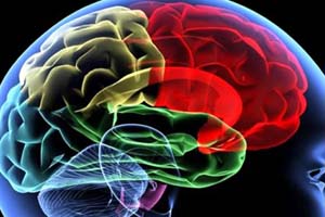 MR agyhártyagyulladás (általában vírusos meningitisz) MRI agyhártyagyulladás
