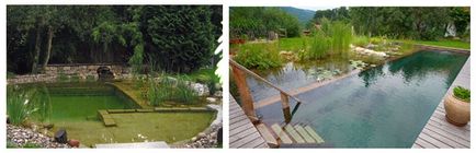 Piscine naturale cu purificare naturală a apei - tipuri, design, avantaje ale bio-bazinelor,