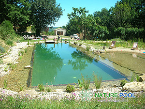 Piscină naturală - fără substanțe chimice! Piscine Vseslav