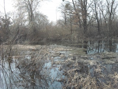 Кілька слів про досвід використання поплив-Поппера - клуб любителів воблерів