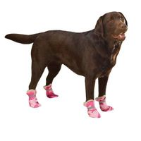 Șosete și pantofi pentru câini, de ce sunt necesare