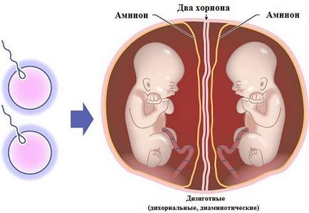 Vizsgálata hatóságok hatáskörébe tartozik a szakértő Uzi