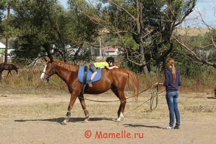 Predarea unui cal pentru călărie, hipoterapie