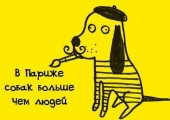 Органічні добрива що це таке, їх види та характеристика, як застосовувати і зробити своїми