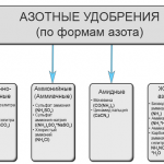 Органічні добрива що це таке, їх види та характеристика, як застосовувати і зробити своїми