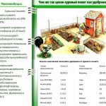 Szerves trágyák, amit ők azok típusát és jellemzőit, hogyan kell alkalmazni, és azok (műtrágya) Szerves trágyák, amit ők azok típusát és jellemzőit, hogyan kell alkalmazni, és tegyék