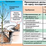 Szerves trágyák, amit ők azok típusát és jellemzőit, hogyan kell alkalmazni, és azok (használat) Szerves trágyák, amit ők azok típusát és jellemzőit, hogyan kell alkalmazni, és tegyék