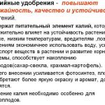 Органічні добрива що це таке, їх види та характеристика, як застосовувати і зробити своїми