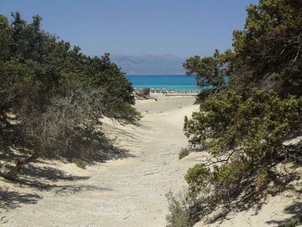 Insula Khrisi este o mică insulă nelocuită, nu departe de insula Creta