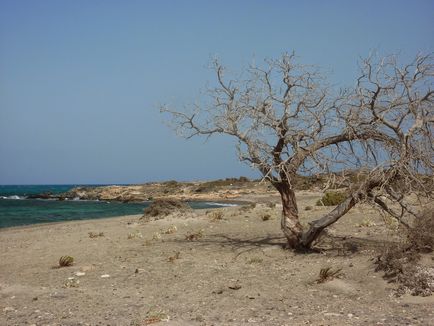 Insula Chrissi