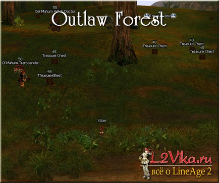 Outlaw forest - ліс беззаконня - lineage 2