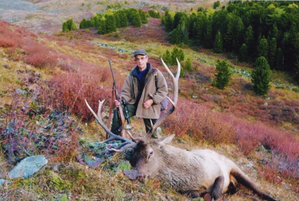 Полювання на марала де і як можна полювати на благородного оленя - особливості