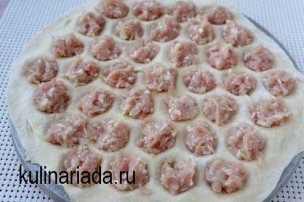 Pelmeni cu pui este o reteta excelenta de gatit