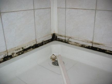 Mucegai în baie cu ce înseamnă să scapi de ea și cum să curăți mucegaiul negru
