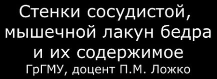 Подфасціальной шар передньої області стегна