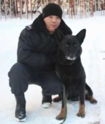 Câine de serviciu util pentru pagini a ajutat polițiștii să descopere furtul de cai de rasă pură
