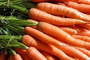 Корисні властивості моркви солодкий десерт і лікарський засіб