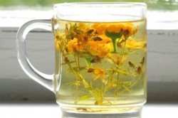 Utilizarea florilor de calendula pentru ficat