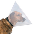 Câine de câini - căutați cuvinte după mască și definiție, răspunsuri la scannere