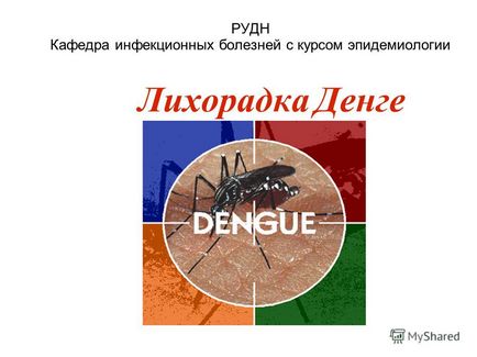 Prezentare pe tema departamentului de minereu febrei dengue a bolilor infecțioase cu cursul epidemiologiei