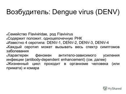 Prezentare pe tema departamentului de minereu febrei dengue a bolilor infecțioase cu cursul epidemiologiei