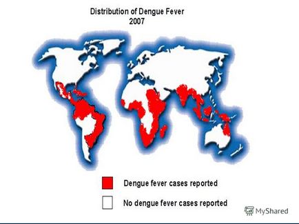 Prezentare pe tema departamentului de minereu febrei dengue a bolilor infecțioase cu cursul epidemiologiei